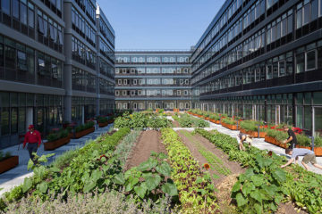 farm3