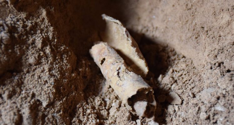 hu170208-remnantofscrolljpg-dead-sea-scrolls-cave