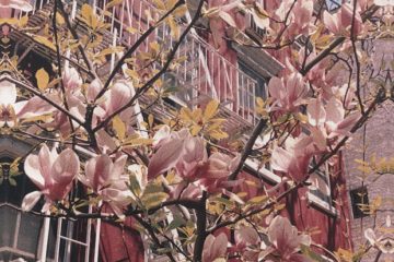 aa75293832d2de3fb3f909ab64b48d4d_d52d653ef7a3823d64ef3ff01f92e1a91989x2000_quality99_o_1beo0amih12cljvlgbd6do1j3of3