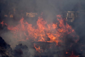 USA-WILDFIRES_-1254