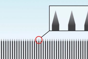 donald-trump-steel-slat-barrier-usa-mexico-border-wall_dezeen_hero-852x479