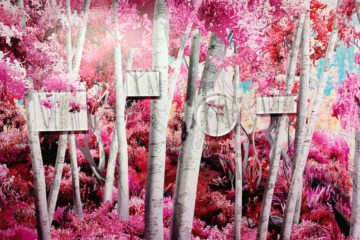 Jessica Lichtenstein - Do They Make a Sound - Curated by Indira Cesarine for The Untitled Space - SPRING BREAK ART SHOW 2020