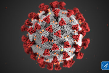 coronavirus-covid-19-illustation-cdc-medical-illustrator-dan-higgins_dezeen_2364_col_3