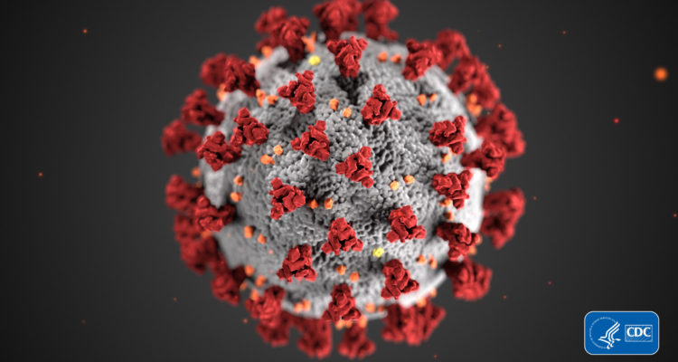 coronavirus-covid-19-illustation-cdc-medical-illustrator-dan-higgins_dezeen_2364_col_3