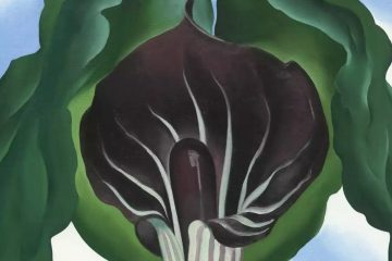 Flower_1