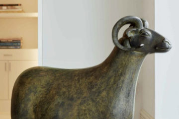 sheep