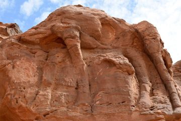_120570737_gettyimages-923324692