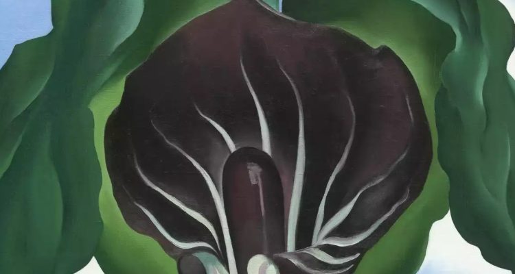 Flower_1